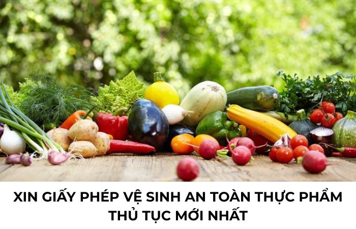 giấy phép vệ sinh an toàn thực phẩm